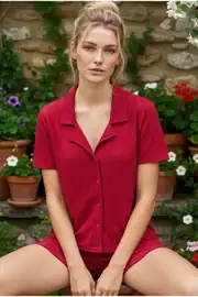 Vişne