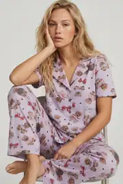 lila ayıcık